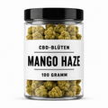 CBD-Blüten - MANGO HAZE - 100 GRAMM